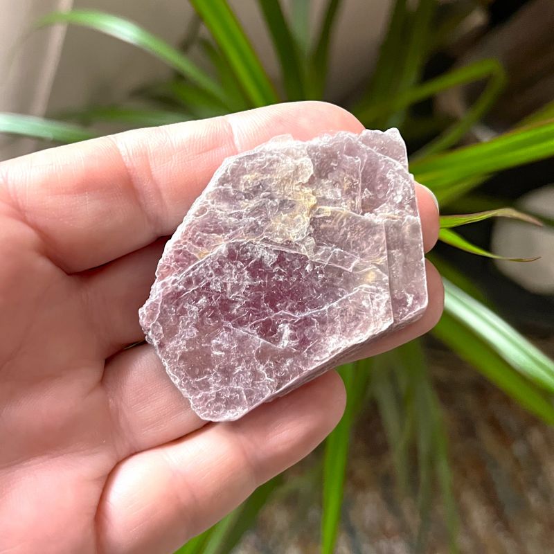 Lepidolite Mica Slice 4.9cm 13g