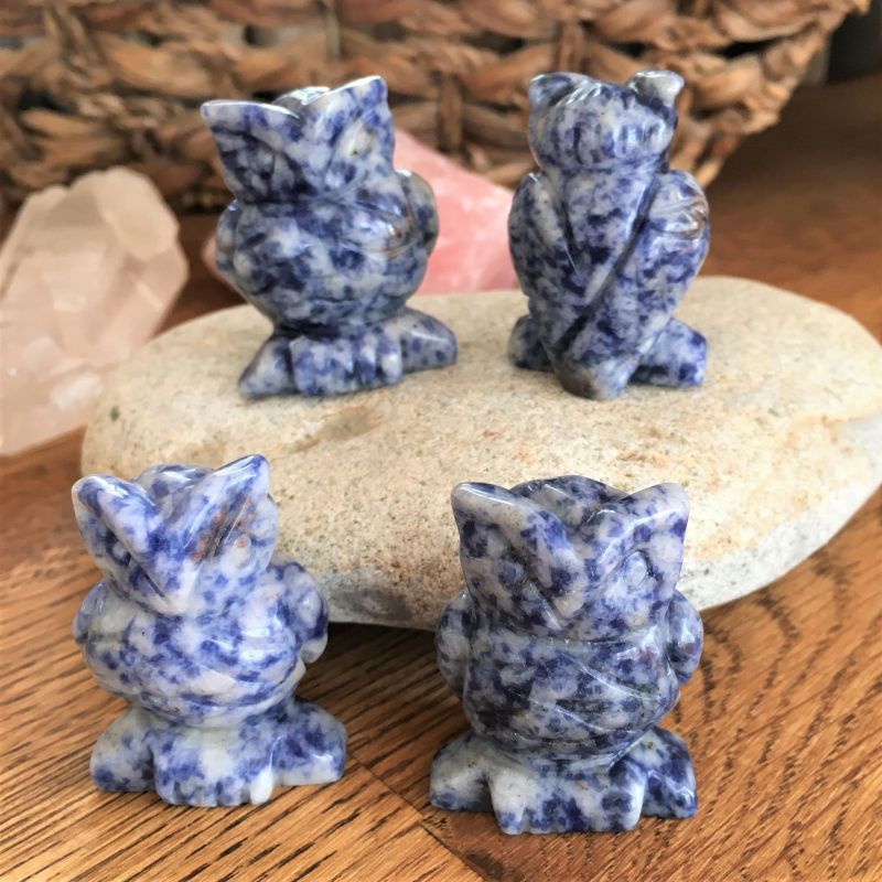 Owl - Sodalite