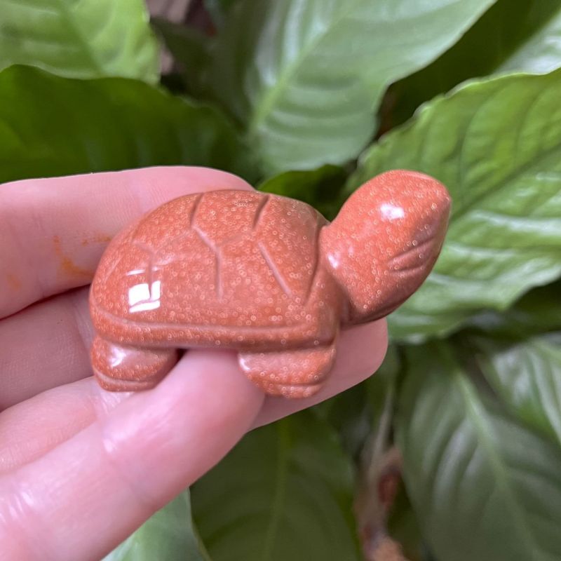 Tortoise - Red Goldstone