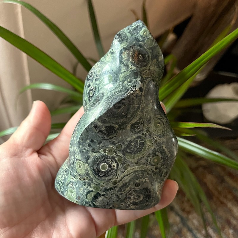 Kambaba Jasper Flame - 12.3cm