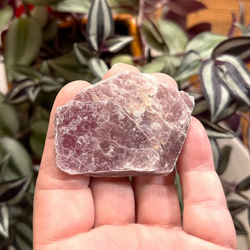 Lepidolite Mica Slice 4.9cm 13g