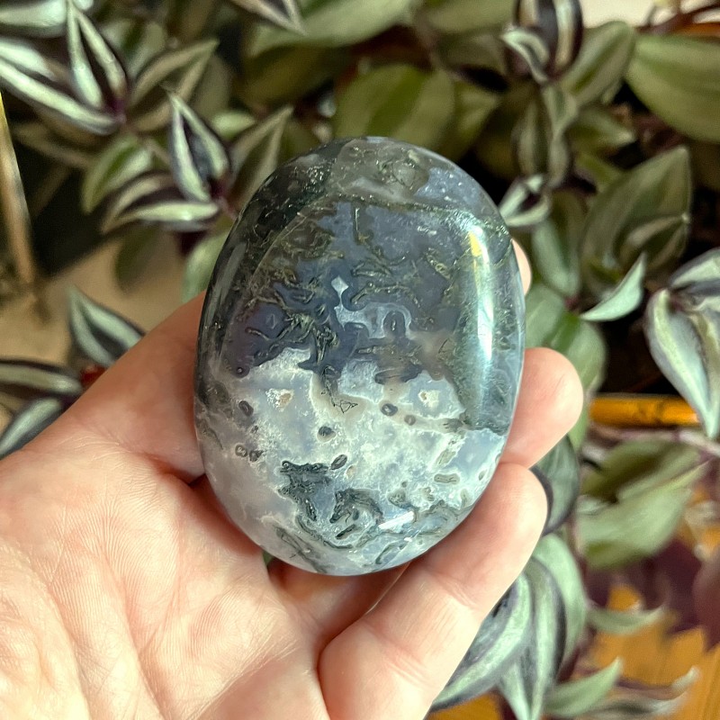 Moss Agate Gallet S - 6.7cm