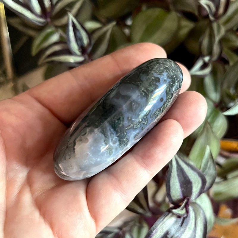 Moss Agate Gallet S - 6.7cm