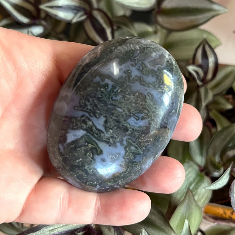 Moss Agate Gallet S - 6.7cm