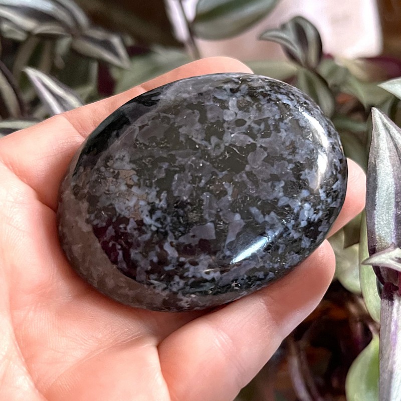 Indigo Gabbro Gallet 'A' - 6cm