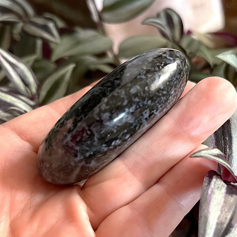 Indigo Gabbro Gallet 'A' - 6cm