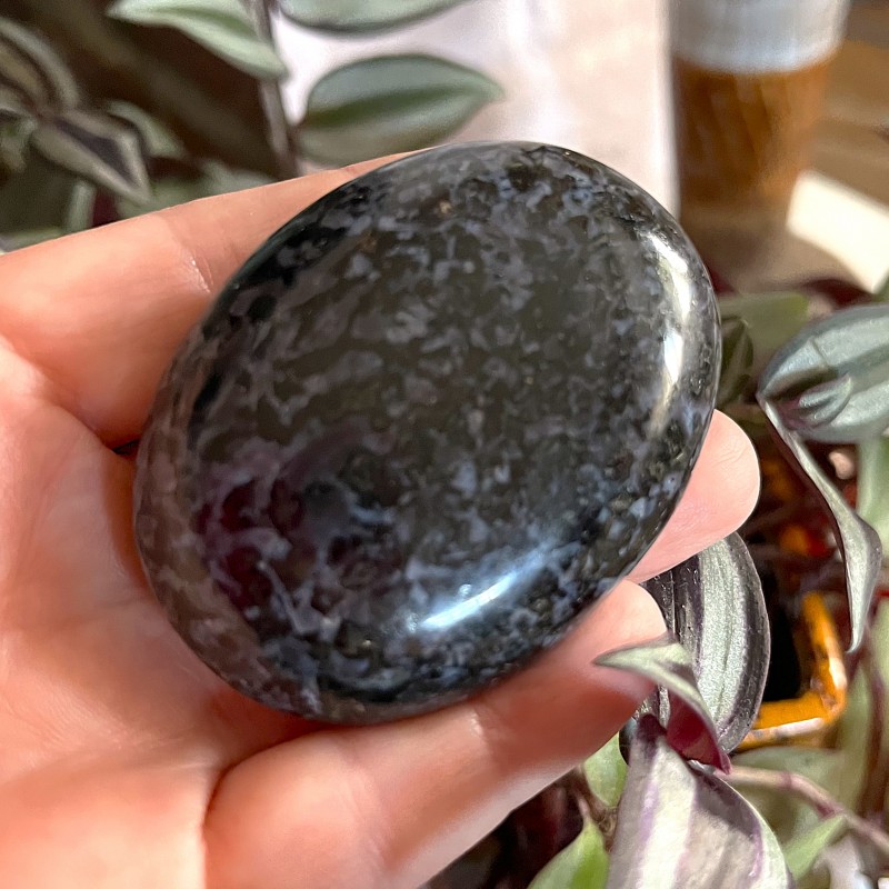 Indigo Gabbro Gallet 'A' - 6cm