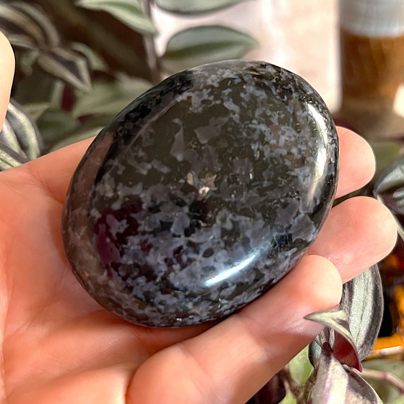 Indigo Gabbro Gallet 'A' - 6cm