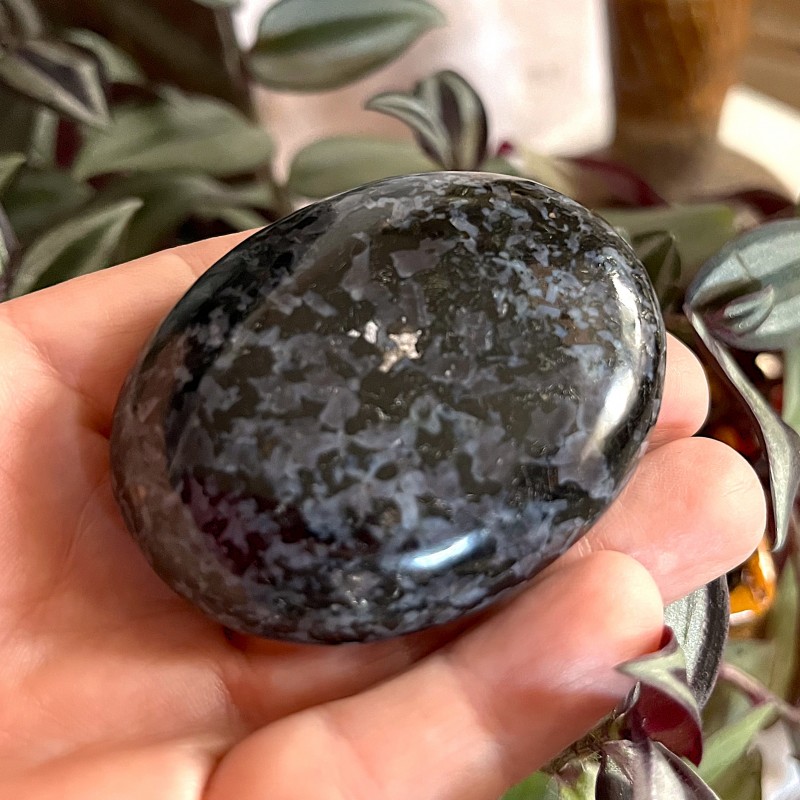 Indigo Gabbro Gallet 'A' - 6cm