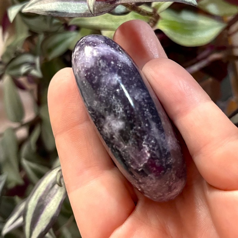 Lepidolite Gallet B - 6cm