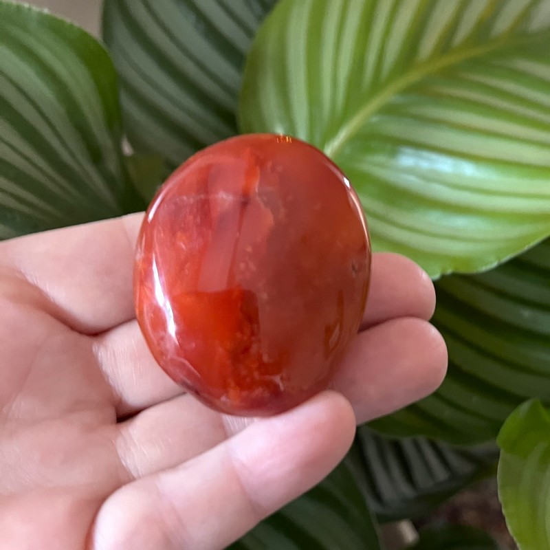 Carnelian Gallet A - 5cm