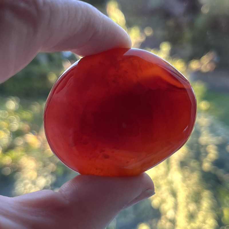 Carnelian Gallet A - 5cm