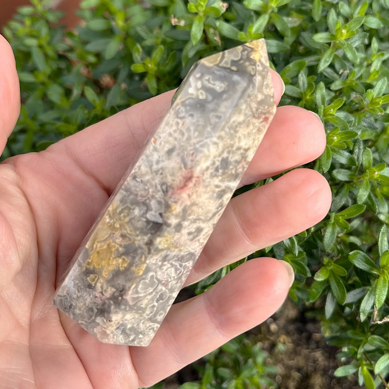 Ocean Jasper Point B -  8.2cm