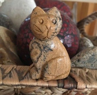 Cat - Picture Jasper