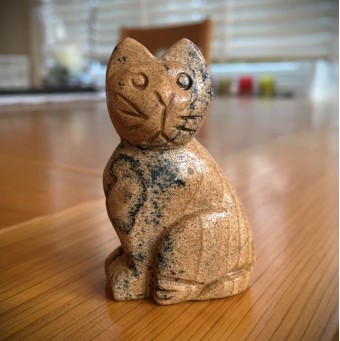 Cat - Picture Jasper