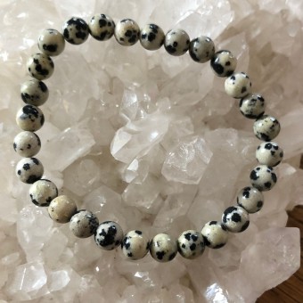 Dalmatian Jasper 6mm Bead Bracelet