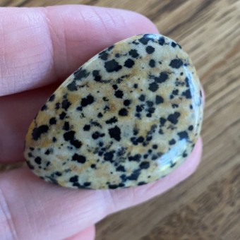 Dalmatian Jasper Thumbstone