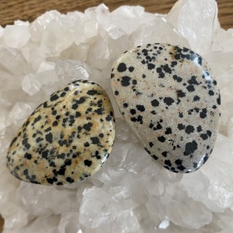 Dalmatian Jasper Thumbstone