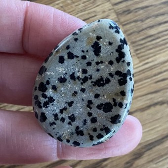 Dalmatian Jasper Worrystone