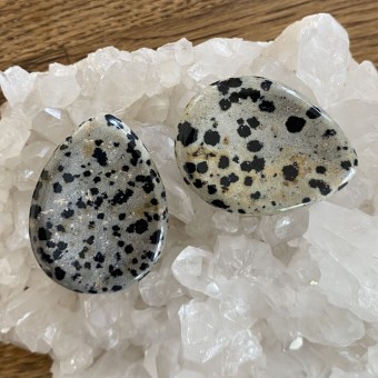 Dalmatian Jasper Worrystone