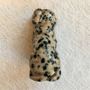 Dog - Dalmatian Jasper