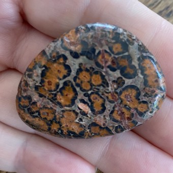 Leopardskin Jasper Thumbstones