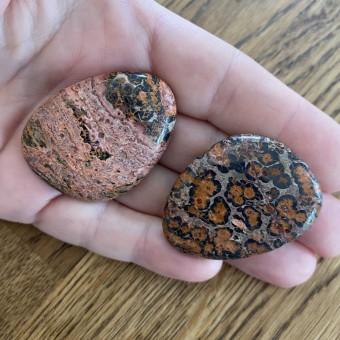 Leopardskin Jasper Thumbstones