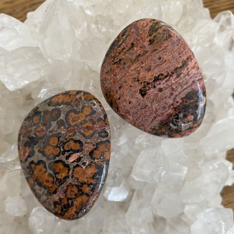 Leopardskin Jasper Thumbstones