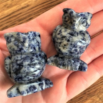 Owl - Sodalite