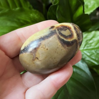 Septarian Pebble 'A' - 5.8cm