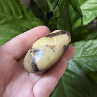 Septarian Pebble 'A' - 5.8cm