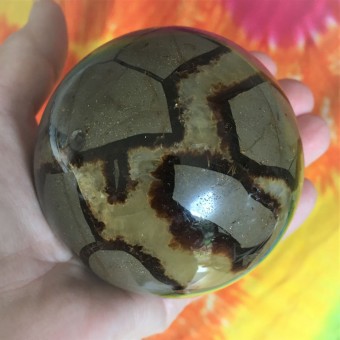 Septarian Sphere - 7.5cm