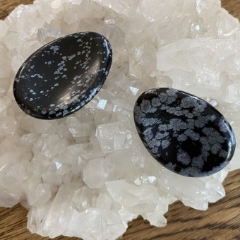 Snowflake Obsidian Worrystone