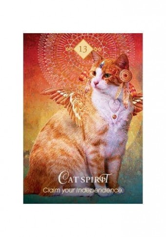 Spirit Animal Oracle Cards