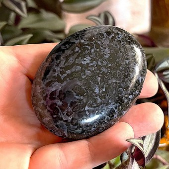 Indigo Gabbro Gallet 'A' - 6cm