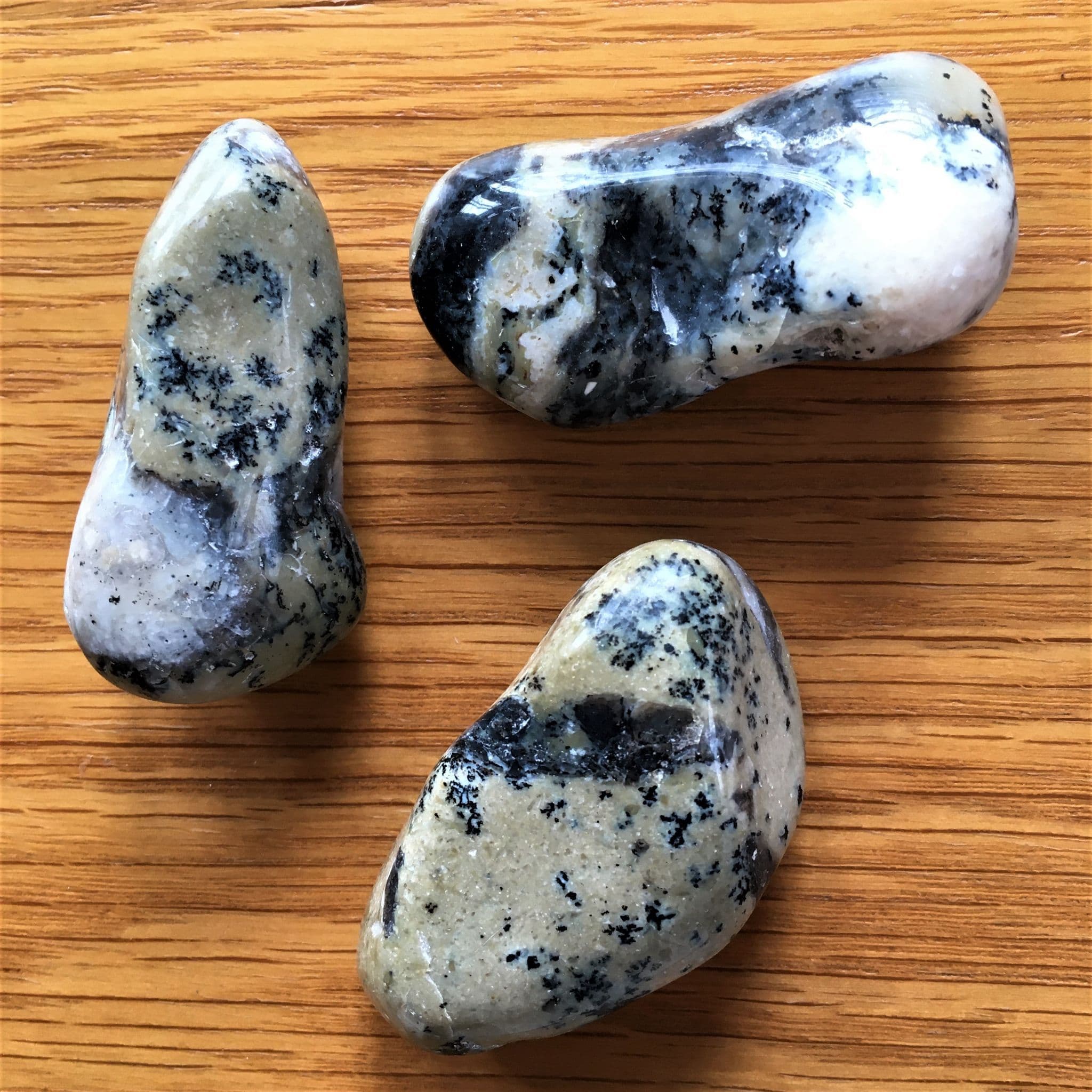 Dendritic Agate (Merlinite)